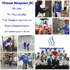 Sell any type of workers from Vietnam Manpower